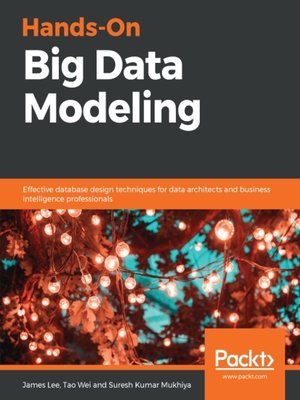 cover image of Hands-On Big Data Modeling